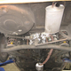 Image for article titled For $4,500, That’s Alfetta Of Fish